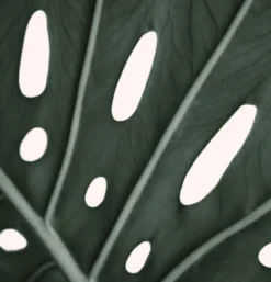 Americanflat 71" X 74" Shower Curtain Style 1 By ArtPrink -Baxton Studio Store GUEST 15c1f176 4103 49ea 9daa fe83092cc5ad