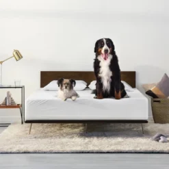 Machine Washable Waterproof Mattress Protector - Tuft & Needle -Baxton Studio Store GUEST 19827f0d 28d0 4c0e 9286 47ed33bcccd0