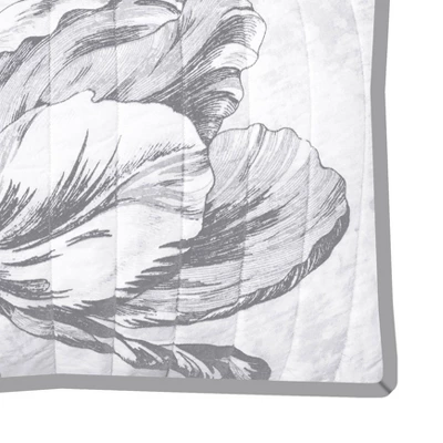 Standard Merian Tulip Sham Gray/White - New York Botanical Garden 4 Standard Merian Tulip Sham Gray/White - New York Botanical Garden - Image 2