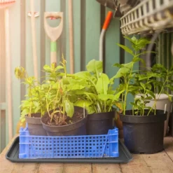 All Weather Boot Tray - Medium Water Resistant Plastic Utility Shoe Mat For Indoor And Outdoor Use In All Seasons By Stalwart (Set Of Two, Dark Grey) 12 All Weather Boot Tray - Medium Water Resistant Plastic Utility Shoe Mat For Indoor And Outdoor Use In All Seasons By Stalwart (Set Of Two, Dark Grey) -Baxton Studio Store GUEST 3700e1a2 5361 4344 80c1 25b93c43deaa