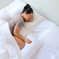 Suite Collection Replacement Pillow Insert - PillowSheets 16 Suite Collection Replacement Pillow Insert - PillowSheets -Baxton Studio Store GUEST 44d82ce7 c81a 4634 a91b e5b4f26732a3