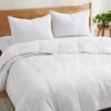 Puredown Lightweight Breathable 75% White Down Comforter Duvet Insert, Cooling Oversized Blanket 1 Puredown Lightweight Breathable 75% White Down Comforter Duvet Insert, Cooling Oversized Blanket -Baxton Studio Store GUEST 7bad1b86 c017 4763 93b4 8659d061f5d1