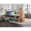 Sealy Cool & Clean Mattress Collection -Baxton Studio Store GUEST 7e1593c1 c6b5 4183 aae8 6d6e8897afb8