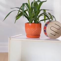 Guidecraft EdQ 2-Shelf Open Storage - 24" -Baxton Studio Store GUEST 862cca7d d1d0 4c13 9160 88377d7da020