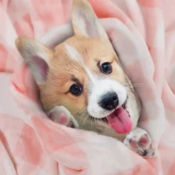 1 Pc Full Microfiber Long Shaggy Bed Blankets Pink And White - PiccoCasa -Baxton Studio Store GUEST a5f21754 56f1 47c3 a820 8bf32d9694e9