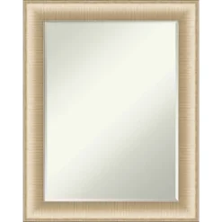 Elegant Brushed Petite Bevel Bathroom Wall Mirror 20 Elegant Brushed Petite Bevel Bathroom Wall Mirror -Baxton Studio Store GUEST cba28673 e381 4c24 b50d c20e8aa92ab8