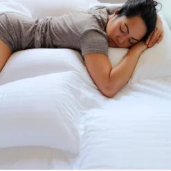 Suite Collection Replacement Pillow Insert - PillowSheets 15 Suite Collection Replacement Pillow Insert - PillowSheets -Baxton Studio Store GUEST dffe3bcf f5a3 41b5 850d 46da50c17ae4