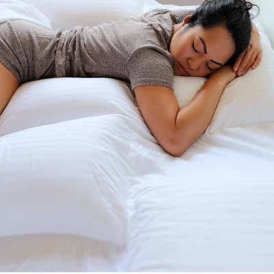 Suite Collection Replacement Pillow Insert - PillowSheets 7 Suite Collection Replacement Pillow Insert - PillowSheets - Image 5