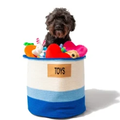 Midlee Blue 3 Tone Toys Basket -Baxton Studio Store GUEST eec96fc6 dfc5 4304 9c77 74b176c51cab