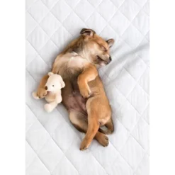 PharMeDoc Leak Proof Slip-Resistant Mattress Pad Protector -Baxton Studio Store GUEST f9e49a72 ff02 4989 a11f 738424550171