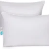 East Coast Bedding 2 Pack Luxury Goose Down Filled Pillows (Standard Size) 1 East Coast Bedding 2 Pack Luxury Goose Down Filled Pillows (Standard Size) -Baxton Studio Store GUEST fc3d71b4 d760 4769 aa5a 5a11dc44d9ea